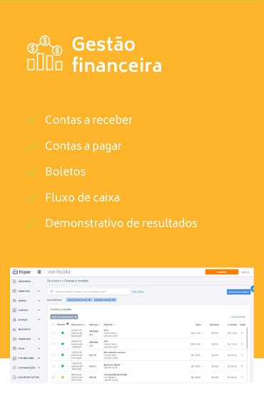 img sistema gestao financeira
